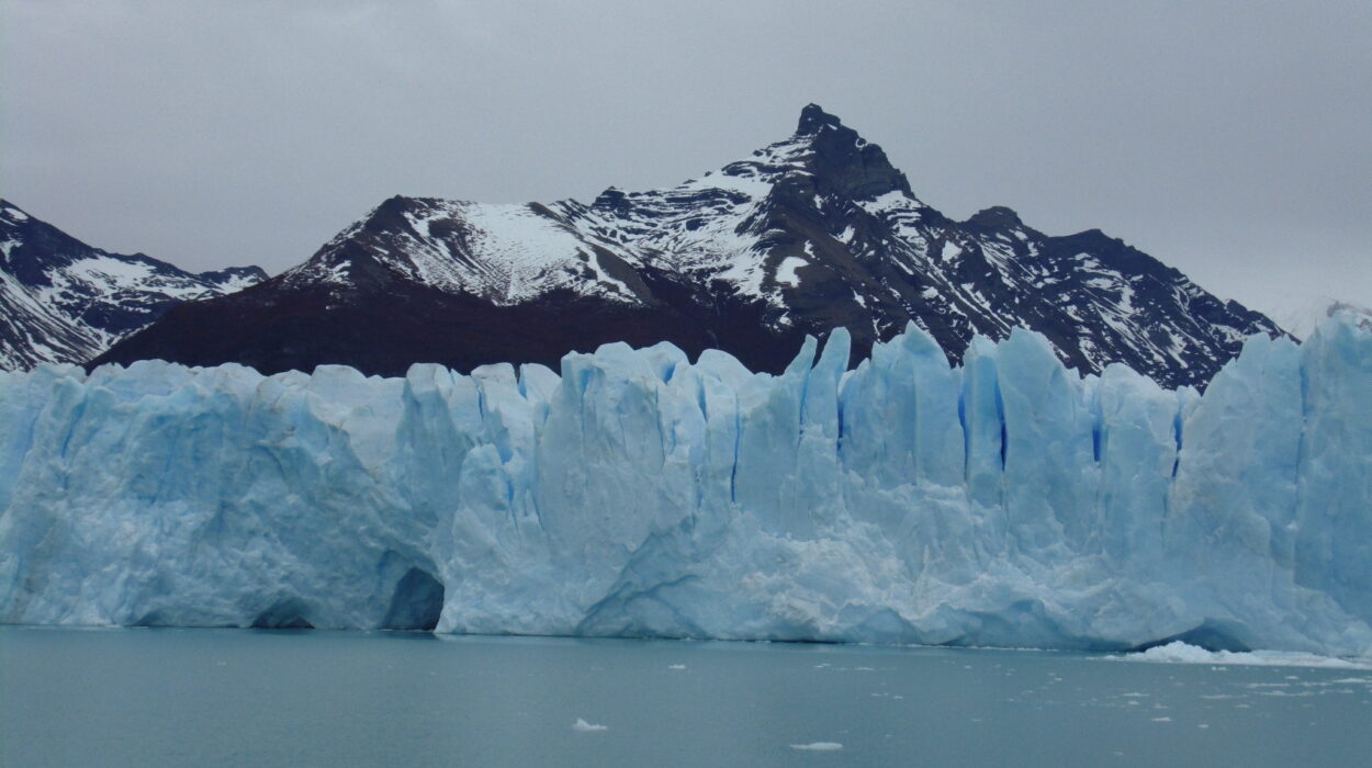 el calafate