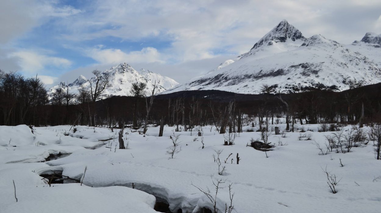 trekking laguna esmeralda