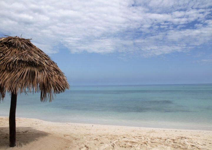 jardines del rey