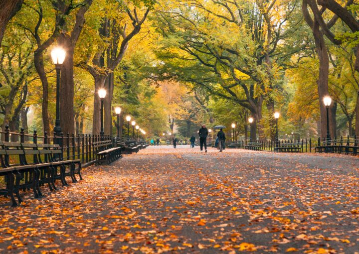 new york en otoño