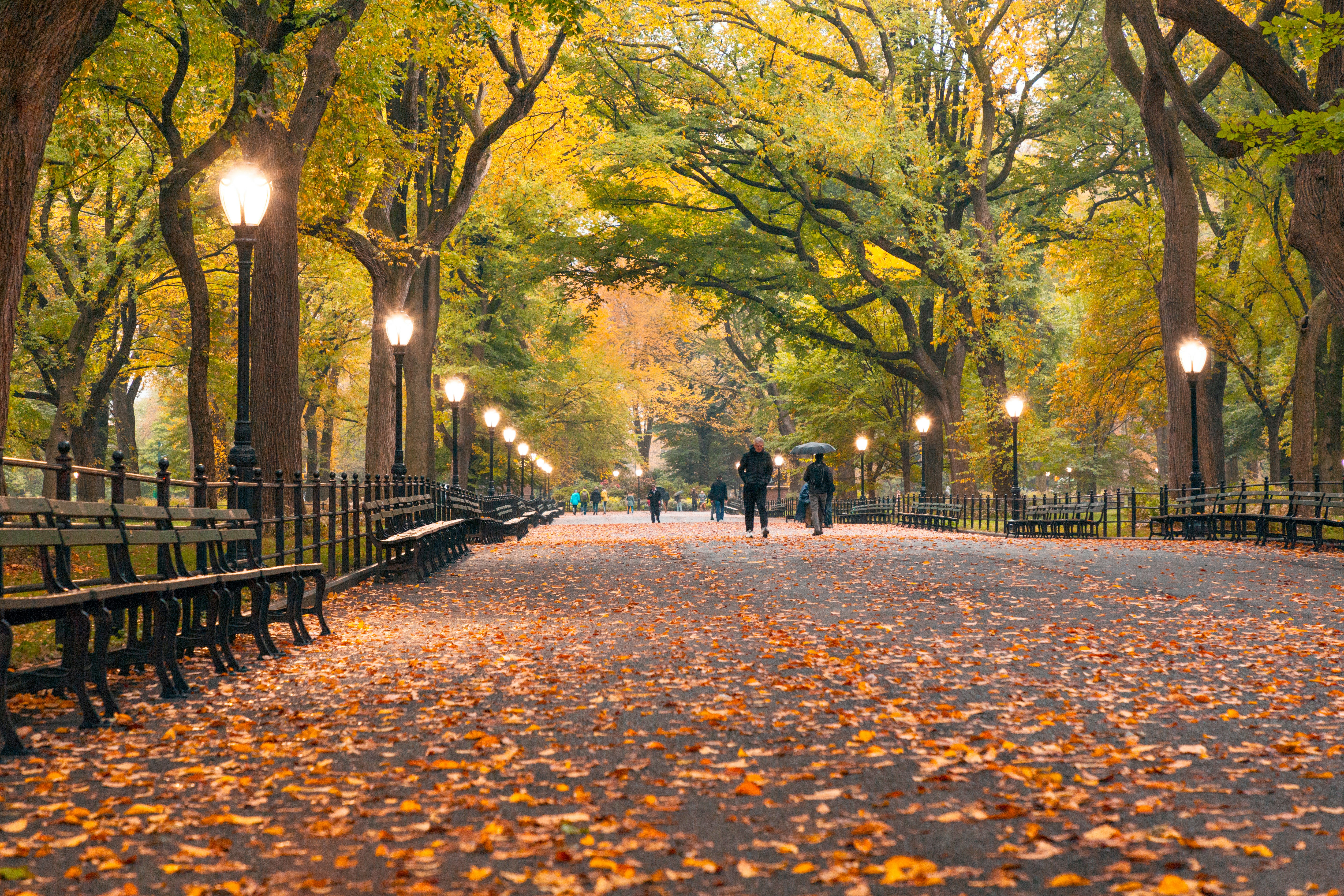 new york en otoño