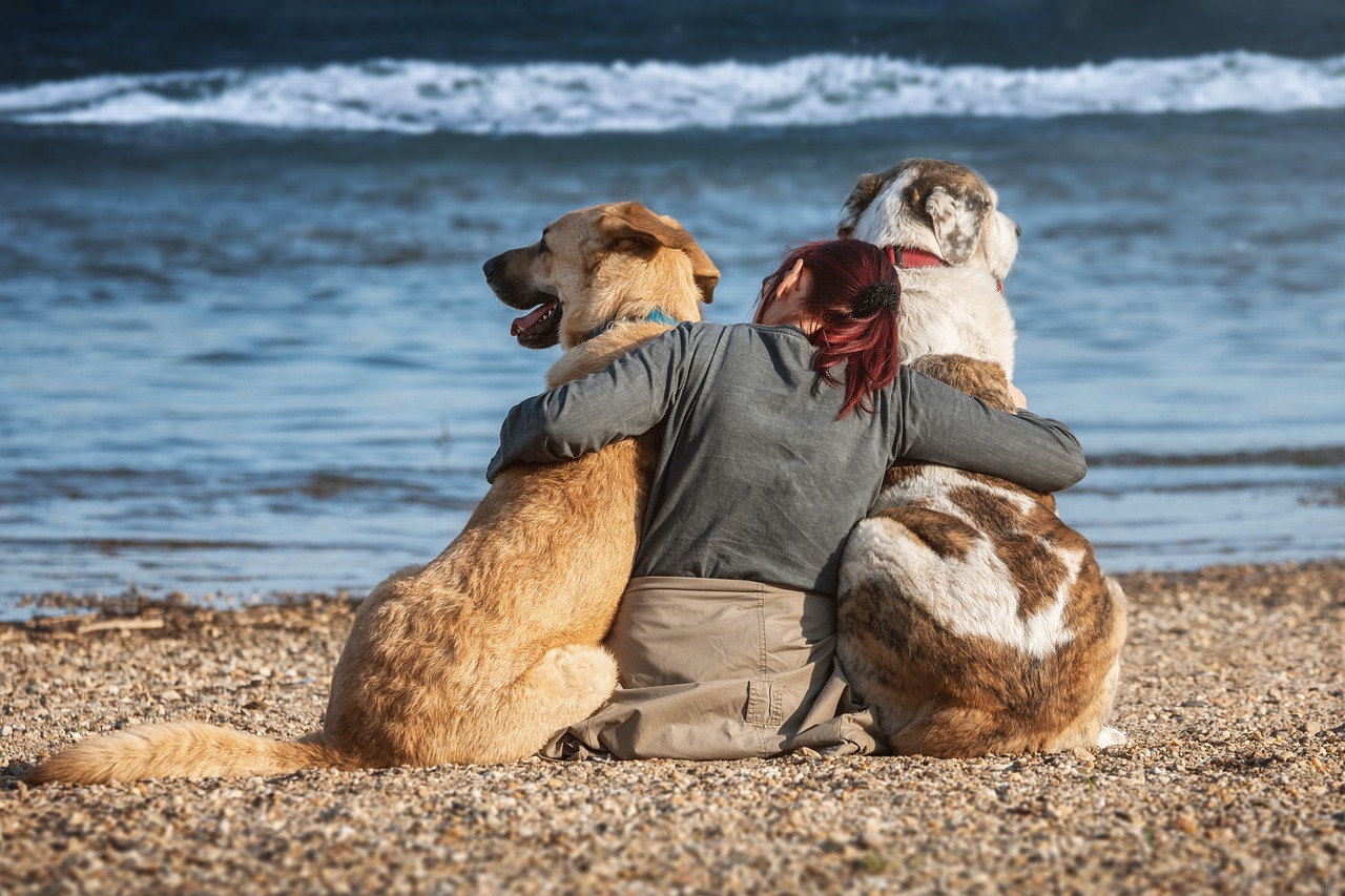 viajar con tu mascota